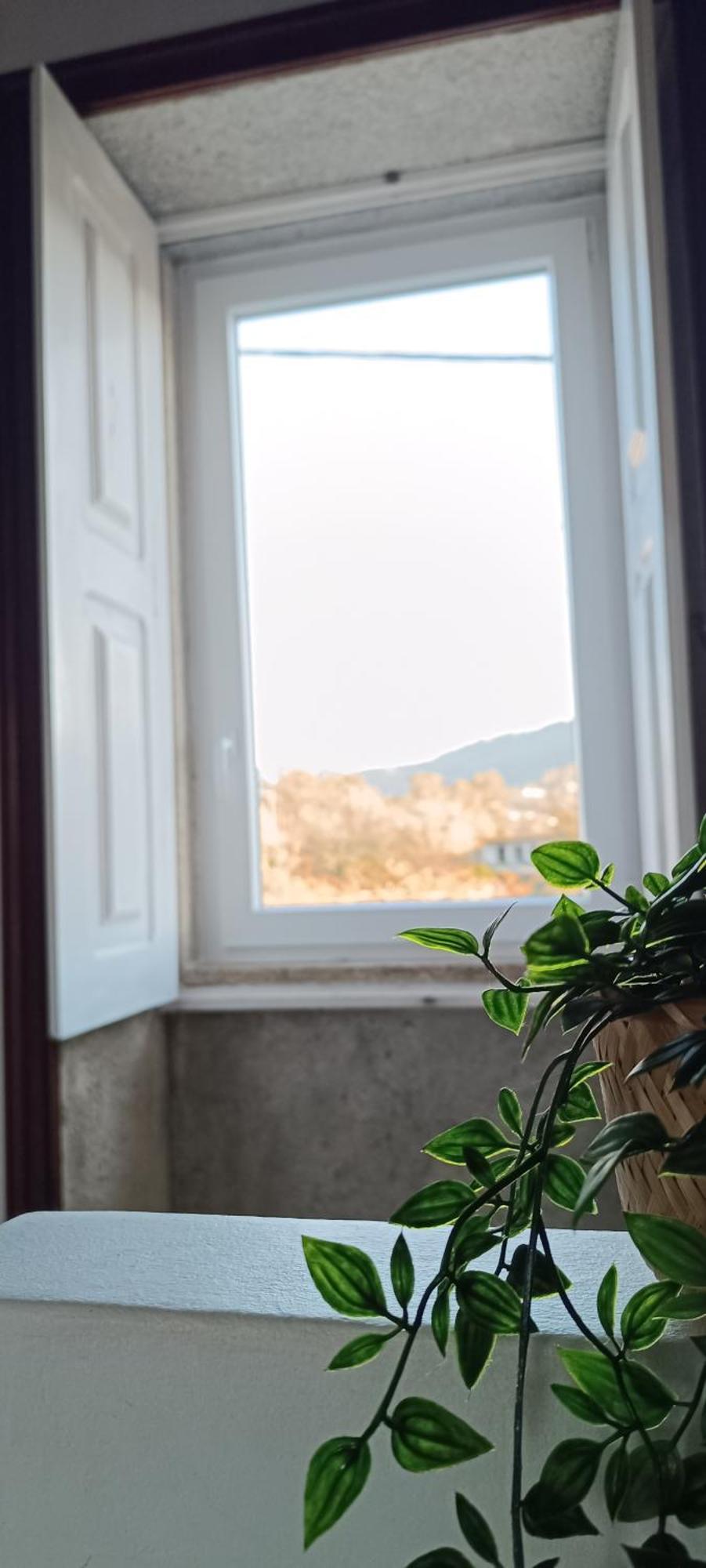 Torre De Santiago - Guest House Vila Praia de Ancora Ngoại thất bức ảnh